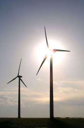 Wind turbines in sun glow